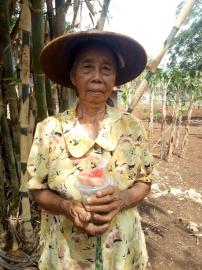 Pemerintah Kalurahan Sidoharjo Salurkan PMT Balita Dan Lansia Bulan Oktober